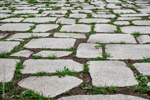 Gray stone pavement with green grass between stones in perspective.