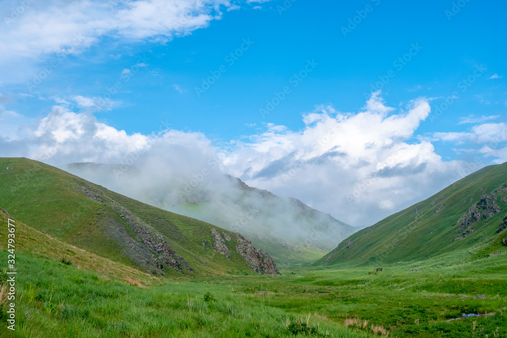 Beautiful landscape of green mountain valley with dramatic cloudy sky background.