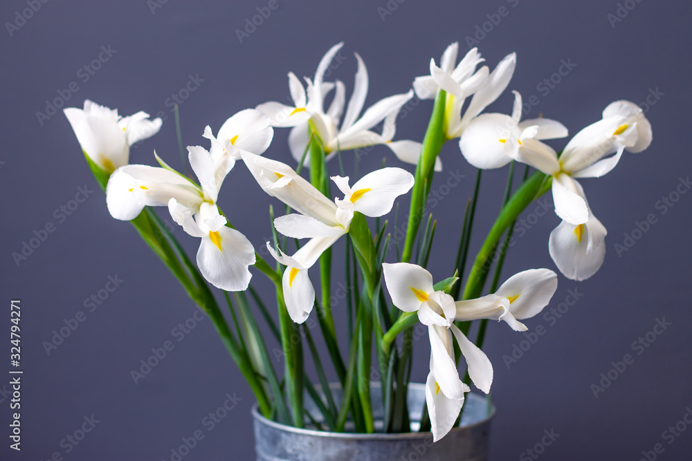 white irises flowers on a decorative background white irises flowers on a decorative background