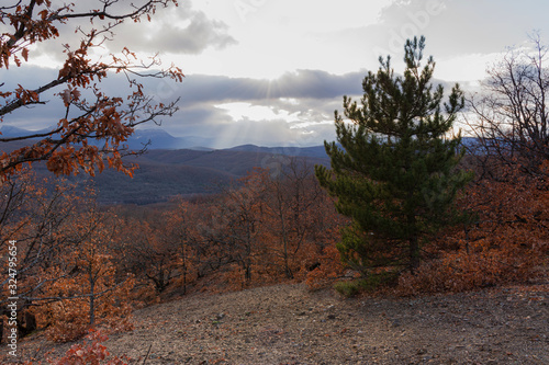 Autumn Sunny landscape with mountains