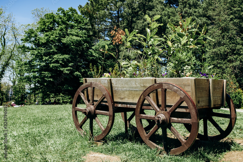 Old wheeled cart with flowers in parks