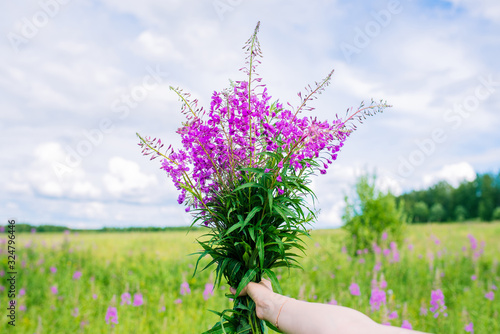 Fototapeta Naklejka Na Ścianę i Meble -  Woman's hand holds a romantic bouquet of purple flowers. Summer colorful bouquet of flowers on a background of the sky with clouds and fields. Flowers as a gift.