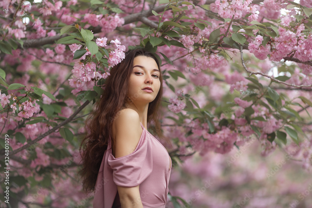 Woman at Blossoming Sakura Tree on Nature Woman at Blossoming Sakura Tree on Nature