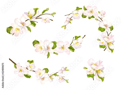 Blooming set of flowering branches apple or pear with flowers and green leaves. Spring design, vector decors isolated on white background.