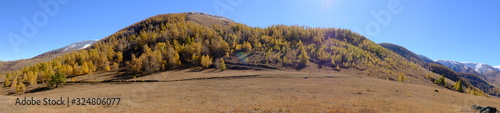 Panoramic view of mountains in autumn with clear blue sky. Nature of East Kazakhstan.