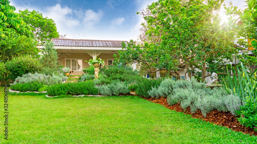 Fototapeta Naklejka Na Ścianę i Meble -  Cottage garden on green grass lawn backyard, landscape decorate with rosemary herb, silver leaves lavender,  greenery trees and sculpture under blue sky in charming and good maintenance landscaping