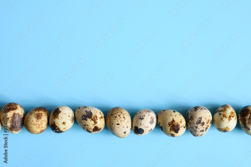 row of quail eggs on a blue background. space for text