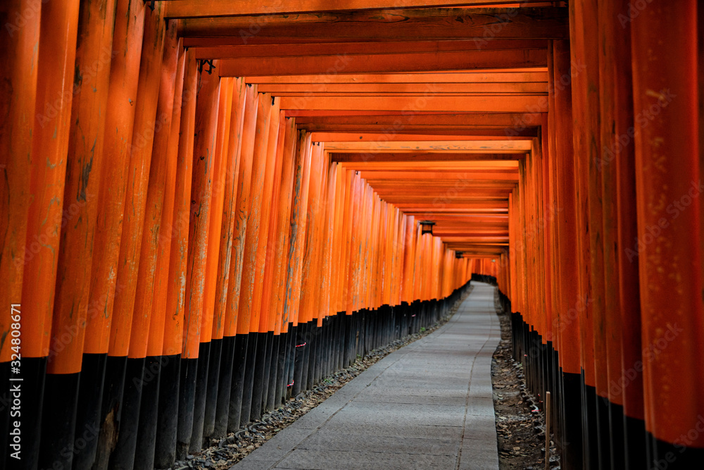 Fototapeta premium Red Gates of Fushimi Inari in Kyoto, Japan