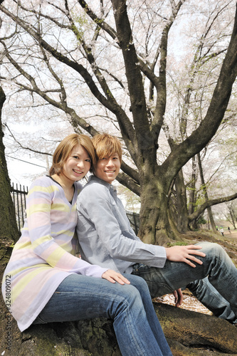 桜満開の公園でデートするカップル