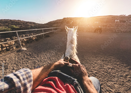 Cowboy training with bitless horse inside farm corral at sunset - Culture, wildlife, healthy lifestyle, sport concept - Focus on animal head photo