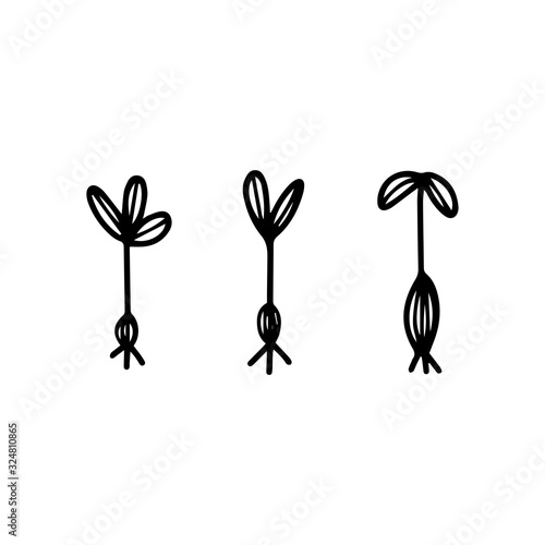Seedlings in hand drawn doodle style isolated on white background. Vector outline stock illustration. Sign gardening element.