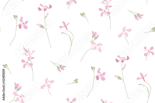 Pink matthiola. Delicate garden flowers. Summer bouquet. Botanical illustration Floral pattern. Floristry