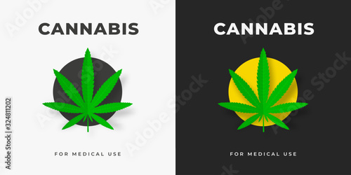 Vector logo with cannabis leaves, in a yellow circle, on a white and black background.