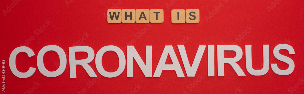 Top view of what is coronavirus words on red background, panoramic shot Top view of what is coronavirus words on red background, panoramic shot