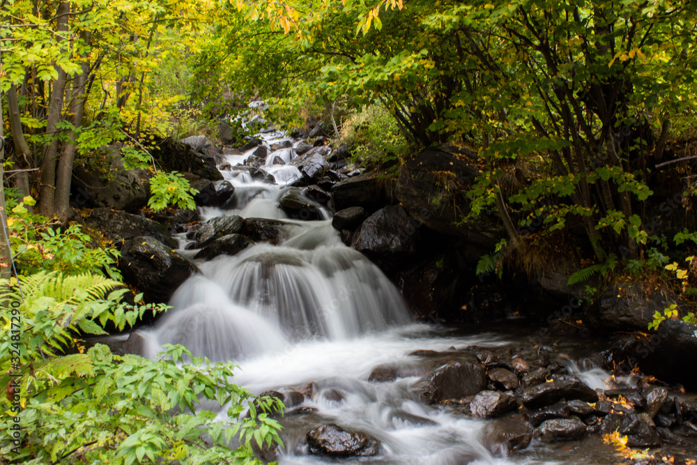 Obraz premium en large