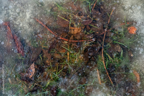 Leaves, sticks and green grass under ice. Ground under transparent ice. Frozen nature background.