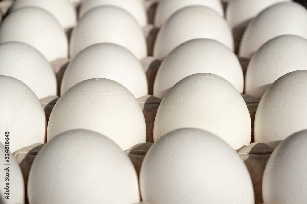 White chicken eggs in a cardboard package made of recycled waste paper. White chicken eggs in a cardboard package made of recycled waste paper.