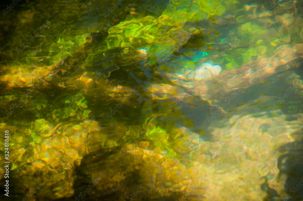 Fototapeta premium Soft abstract of weeds in flowing river green & yellow background