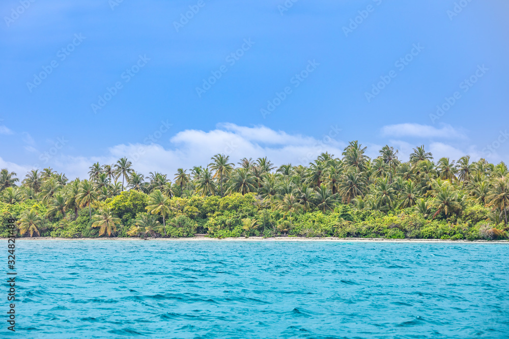 Tropical island coast. Palm trees and calm waves in blue sea. Exotic landscape, beach on paradise island. Exotic nature, tropical layers on horizontal panorama