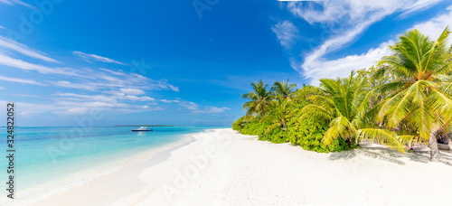 Fototapeta Naklejka Na Ścianę i Meble -  Amazing tropical beach panoramic landscape. Exotic travel and vacation scenery, palm trees over white sand and blue sea sky