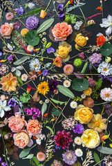 Papier peint photo Magasin de fleurs Fleurs flottantes multicolores fond noir  © Angelina