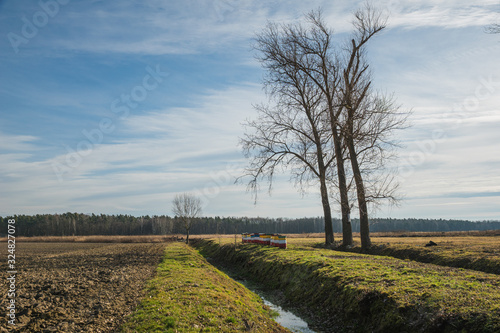 Small river and lonely tree at sunny day near Piaseczno, Poland photo