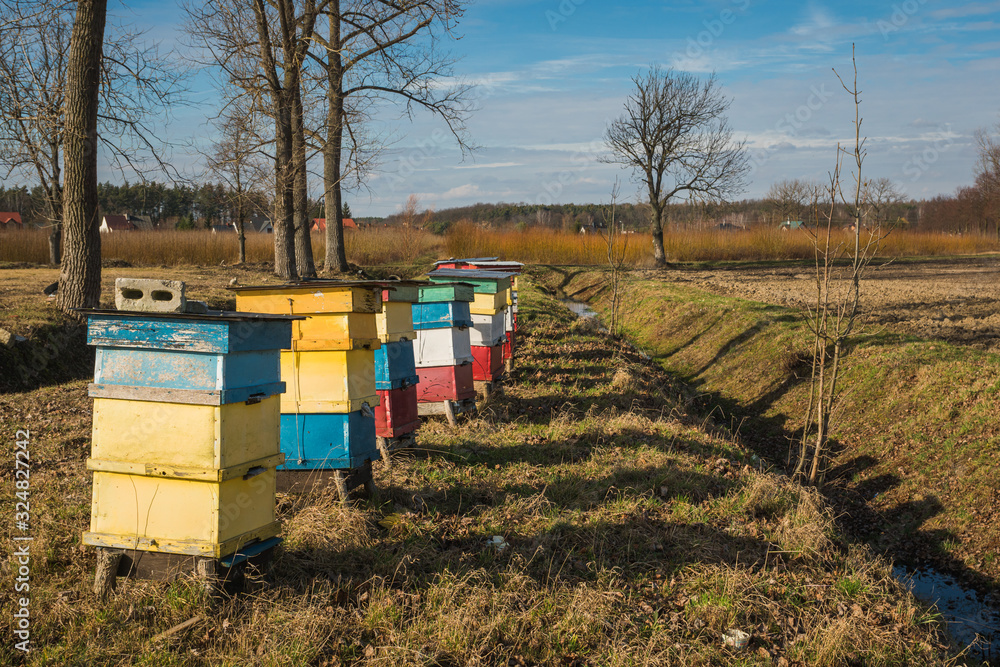 Colorful beehives in the field on a sunny day near Piaseczno, Poland Colorful beehives in the field on a sunny day near Piaseczno, Poland