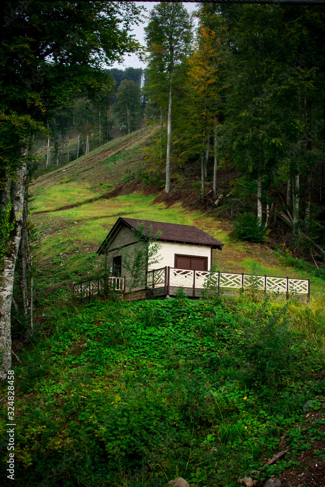 house in the forest