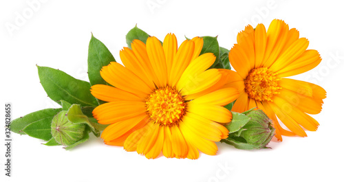 Fototapeta Naklejka Na Ścianę i Meble -  marigold flowers with green leaf isolated on white background ( calendula flower )
