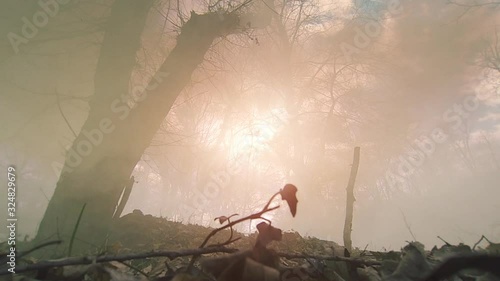 Battlefield scene. Silhouettes of soldiers fighting on East Front during World War II.
Soviet Union, CIRCA 1941-1943