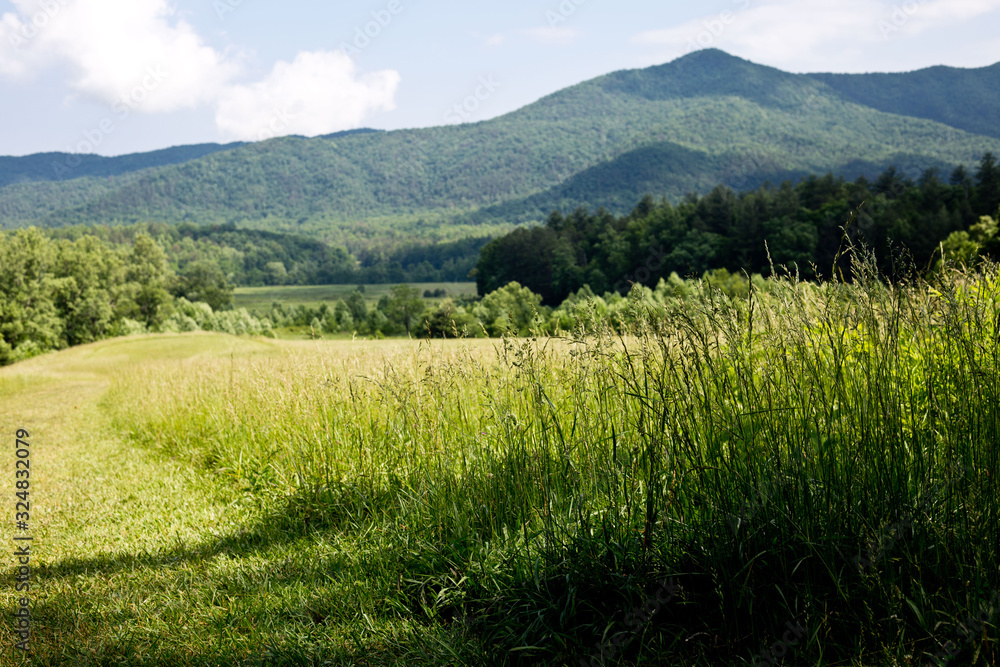 Fototapeta premium Great Smoky Mountains National Park