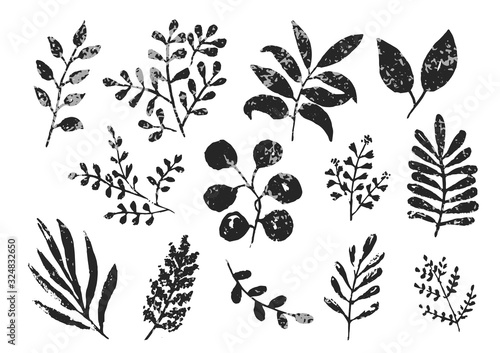 Collection of black and gray monochrome textured ink leaves and branches. Unique hand drawn set of tropical and daisy herbs for botanical background design, textile patterns, frames, greeting cards