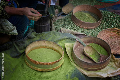 Woman making henna powder from dried henna leaves in a traditional way.