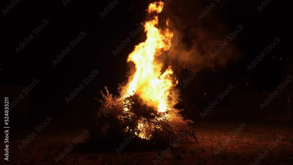 Giant bonfire with beautiful fire flames at night, burning trees and branches. Firewood and tongues of flame Giant bonfire with beautiful fire flames at night, burning trees and branches. Firewood and tongues of flame