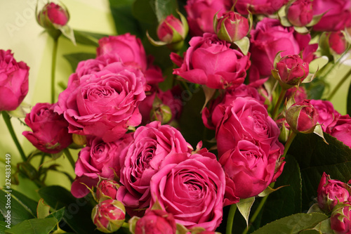 Closeup of small pink roses in a bunch © paffy