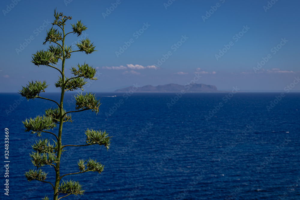 One of the gorgeous hiking trails on the island of Marettimo Italy (Sicily) One of the gorgeous hiking trails on the island of Marettimo Italy (Sicily)