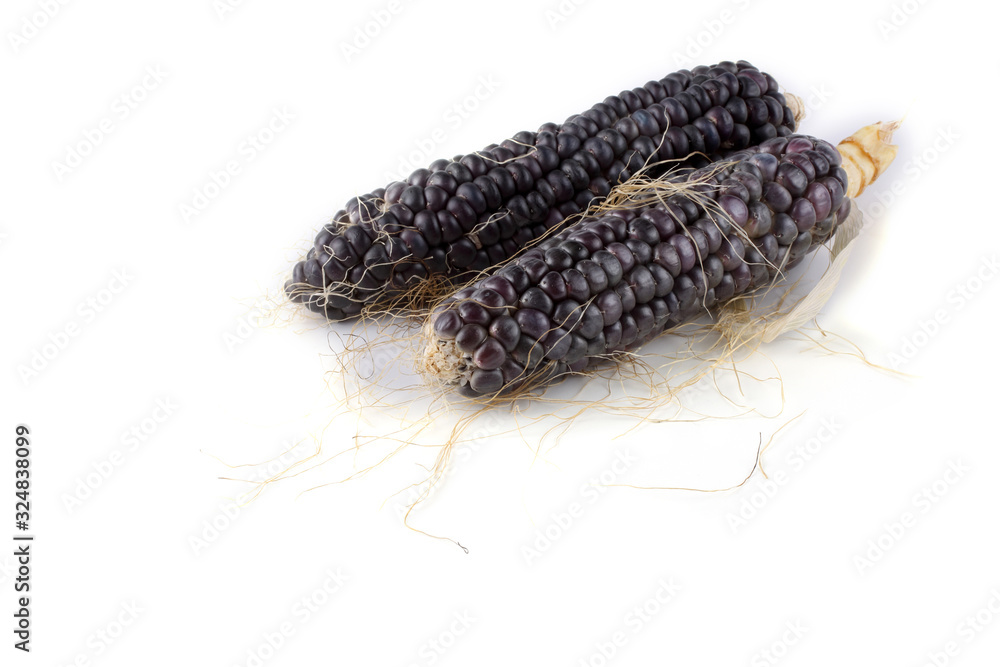 Fototapeta premium Black corn isolated on white