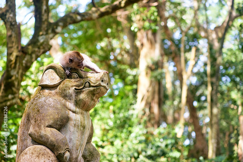 Macaque sitting on sculpture in in Monkey Forest  Ubud Bali Indonesia.