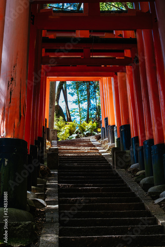 Fushimi Inari Shrine Kyoto Japan