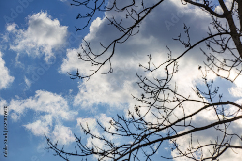 Picturesque textured clouds in the sky at the daytime