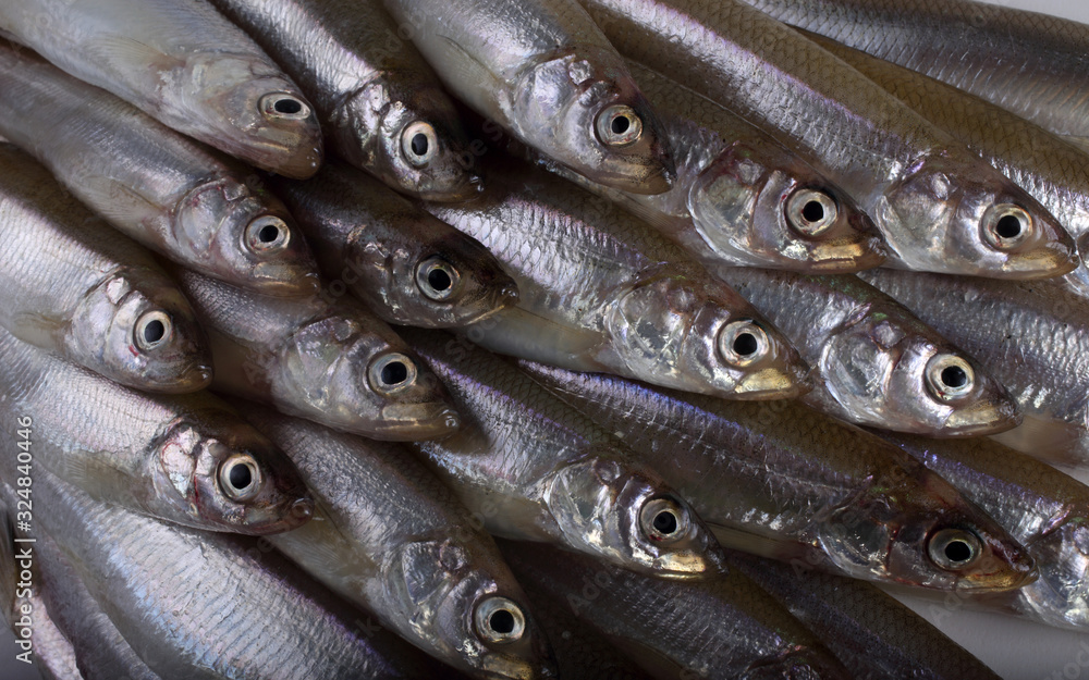 Fototapeta premium Smelt fish
