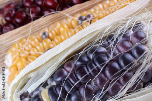 Colorful corn background photo