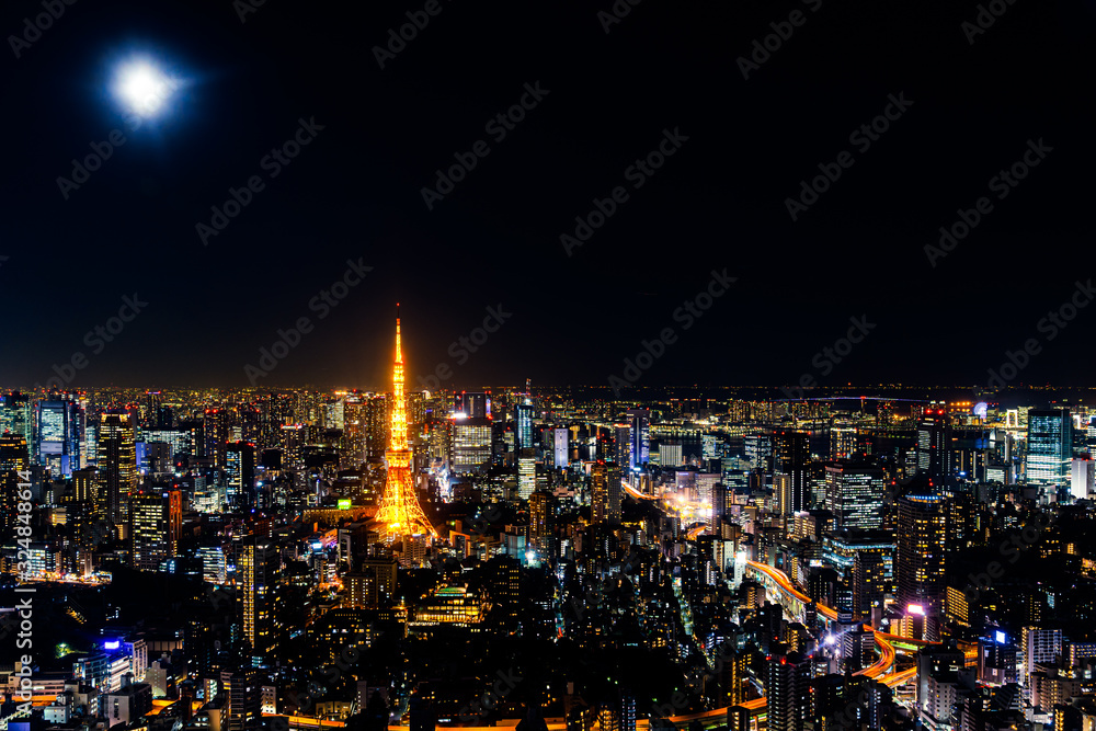 Obraz premium 東京タワー