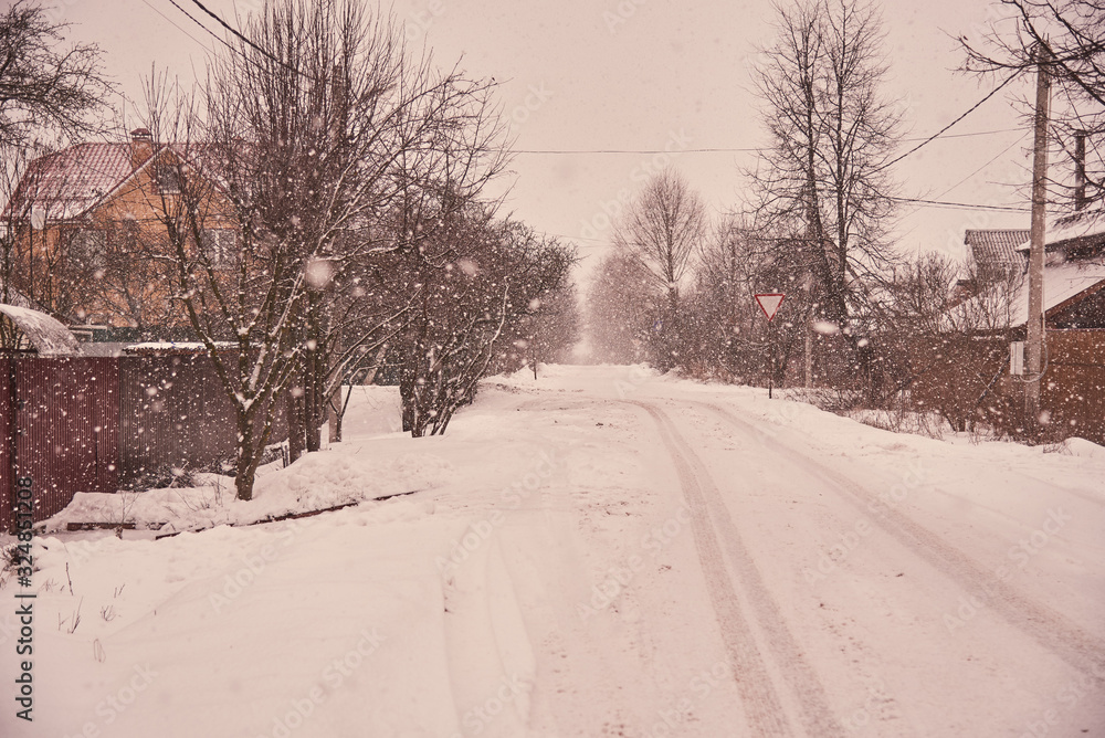 Slightly blurred rural landscape during heavy snowfall. Roadway, trees and houses
