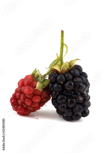 Blackberries