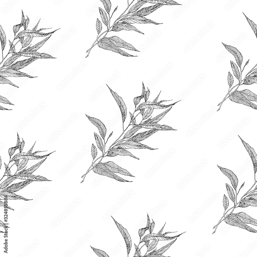Naklejka premium Eucalyptus Leaves pattern on white background. Eucalyptus sketch. Eucalyptus Leaves print