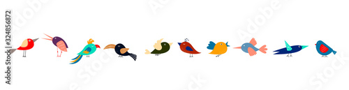 Cute cartoon different multicolored birds in row on white background. Narrow horizontal banner for web, packaging, textile.
