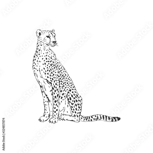 Papier peint Leopard hand drawn inky sketch