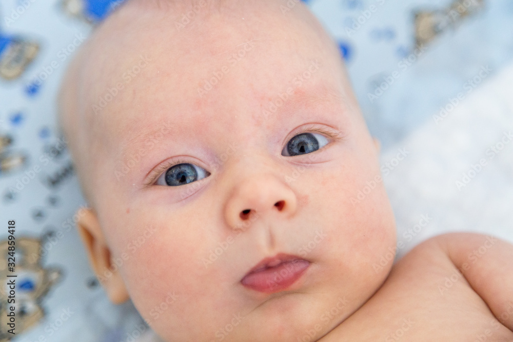 portrait of a baby portrait of a baby