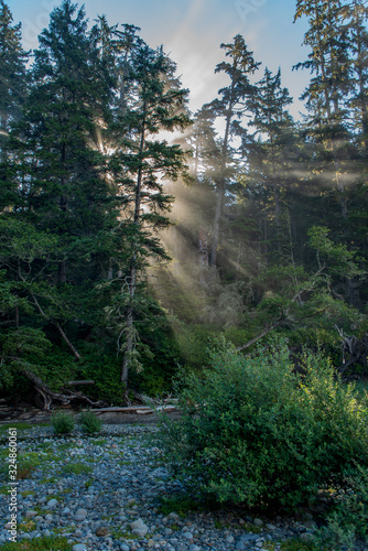 Sunbeams in the forest of the Pacific-Rim-Nationalpark III, Vancouver Island, North-America, Canada, British Colombia, August 2015